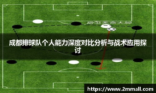 成都排球队个人能力深度对比分析与战术应用探讨
